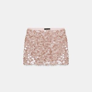 Zara Blush Sequin Mini Skirt